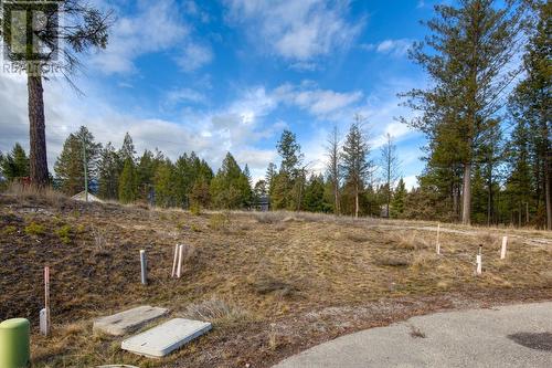 Lot 41 Pedley Heights Drive, Windermere, BC 