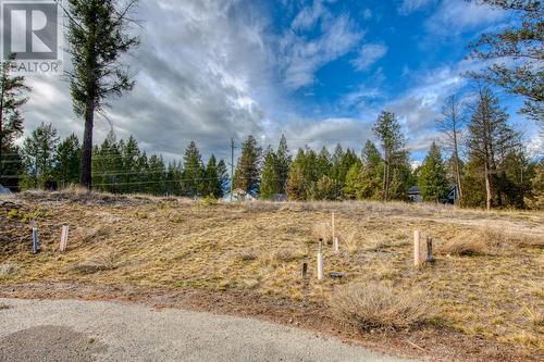 Lot 41 Pedley Heights Drive, Windermere, BC 