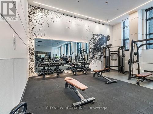 925 - 50 George Butchart Drive, Toronto, ON - Indoor Photo Showing Gym Room