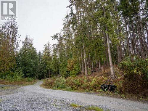 1837 Blubber Bay Rd, Texada Island, BC - Outdoor With View