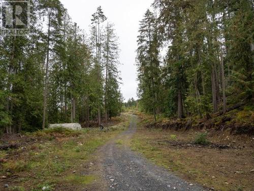 1837 Blubber Bay Rd, Texada Island, BC - Outdoor With View