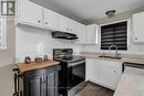 1016 Larin Avenue, Cornwall (717 - Cornwall), ON  - Indoor Photo Showing Kitchen With Double Sink 