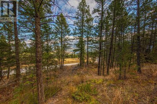 Lot 24 Valley Vista Way, Fairmont Hot Springs, BC 