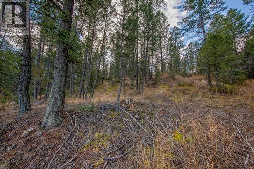 Lot 24 Valley Vista Way, Fairmont Hot Springs, BC 