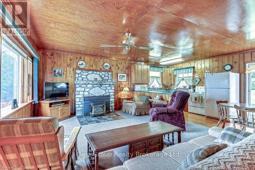 117 Tamarac Road, Northern Bruce Peninsula, ON - Indoor Photo Showing Living Room With Fireplace