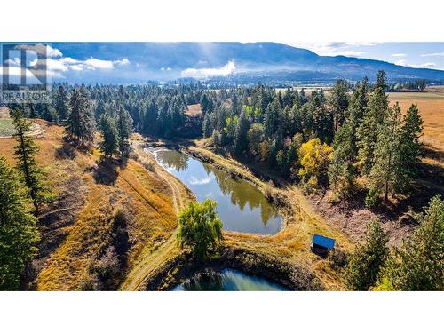 1829 Pleasant Valley Road, Armstrong, BC - Outdoor With View