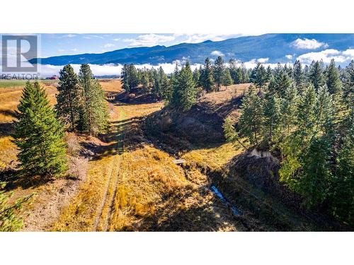 1829 Pleasant Valley Road, Armstrong, BC - Outdoor With View