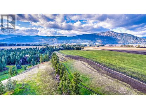 1829 Pleasant Valley Road, Armstrong, BC - Outdoor With View