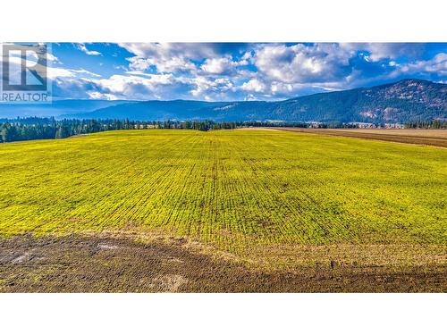 1829 Pleasant Valley Road, Armstrong, BC - Outdoor With View