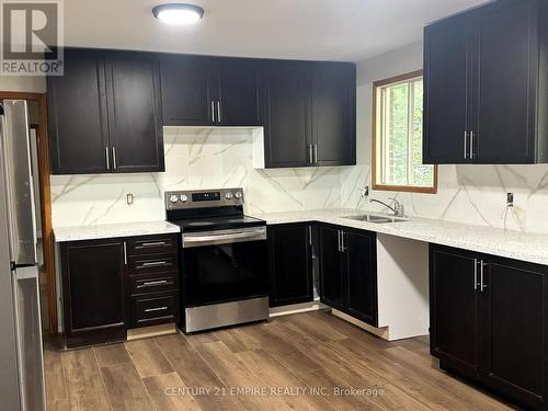 56 Petunias Road, Brampton, ON - Indoor Photo Showing Kitchen With Double Sink