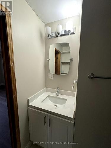 56 Petunias Road, Brampton, ON - Indoor Photo Showing Bathroom