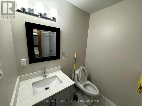 56 Petunias Road, Brampton, ON - Indoor Photo Showing Bathroom