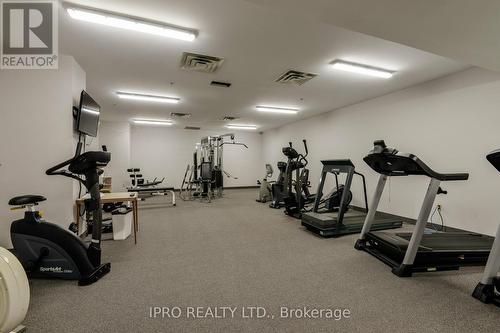 804 - 20 Mcfarlane Drive, Halton Hills, ON - Indoor Photo Showing Gym Room