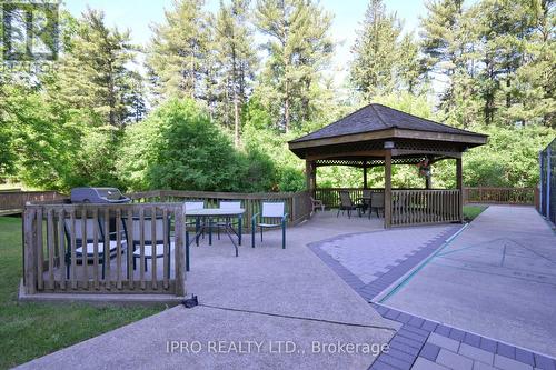 804 - 20 Mcfarlane Drive, Halton Hills, ON - Outdoor With Backyard