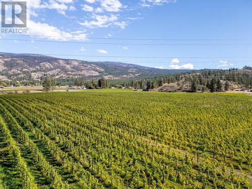 1580 Chapman Road, Okanagan Falls, BC 