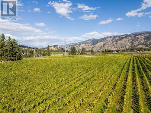 1580 Chapman Road, Okanagan Falls, BC 