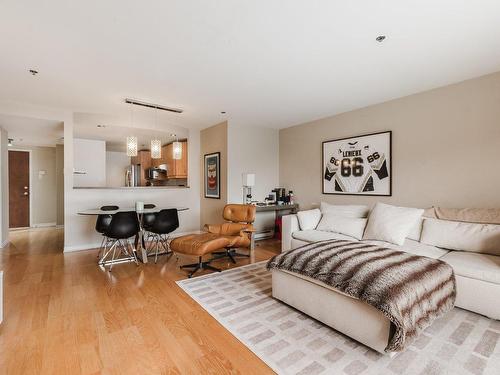 Salon - 303-1315 Rue Notre-Dame O., Montréal (Ville-Marie), QC - Indoor Photo Showing Living Room