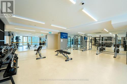 318 - 60 Tannery Road, Toronto, ON - Indoor Photo Showing Gym Room