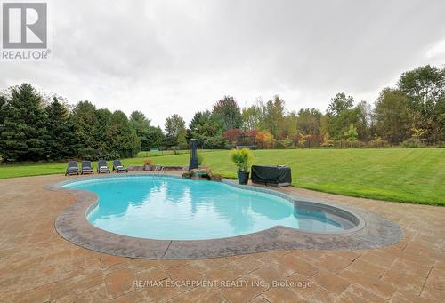 48 Palomino Drive, Hamilton, ON - Outdoor With In Ground Pool With Backyard