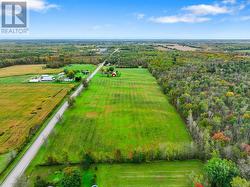 Looking south from north property line.   Note tree line on all 3 sides of property. - 