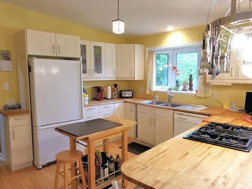 227 Skyline Avenue, Thunder Bay, ON - Indoor Photo Showing Kitchen With Double Sink