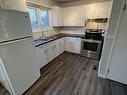 326 University Drive, Thunder Bay, ON  - Indoor Photo Showing Kitchen With Double Sink 