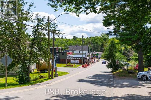 1020 Bala Falls Road, Muskoka Lakes, ON - Outdoor