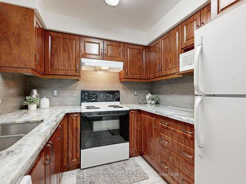 207-29 Pemberton Ave, Toronto, ON - Indoor Photo Showing Kitchen With Double Sink