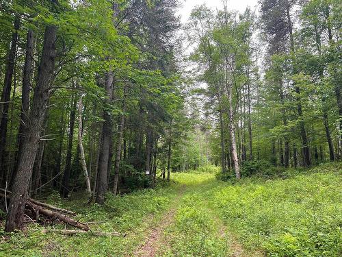 Terre/Terrain - Ch. Des Cascades, La Macaza, QC 