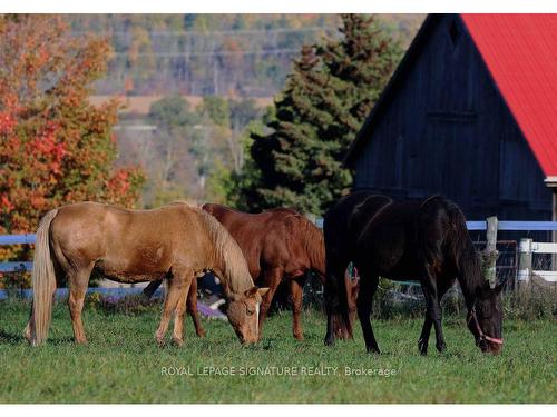 8268 Canyon Rd, Milton, ON - Outdoor