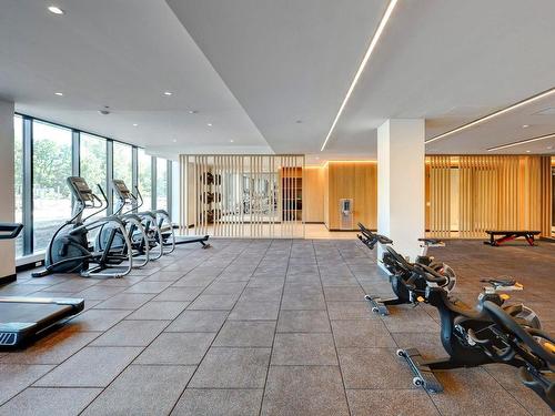 Exercise room - 704-399 Rue De La Rotonde, Montréal (Verdun/Île-Des-Soeurs), QC - Indoor Photo Showing Gym Room