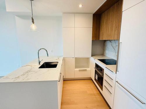 Kitchen - 704-399 Rue De La Rotonde, Montréal (Verdun/Île-Des-Soeurs), QC - Indoor Photo Showing Kitchen With Upgraded Kitchen