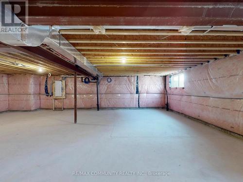 99 Golden Meadows Drive, Otonabee-South Monaghan, ON - Indoor Photo Showing Basement