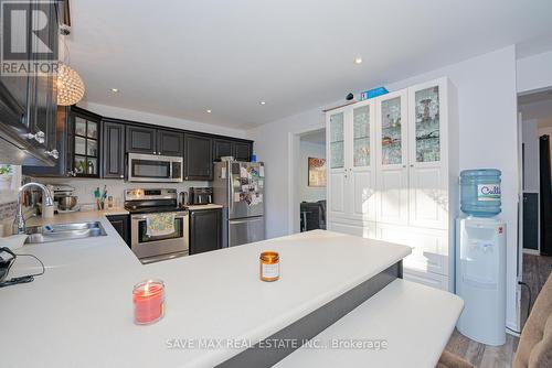 36 John Street S, Halton Hills, ON - Indoor Photo Showing Kitchen With Double Sink