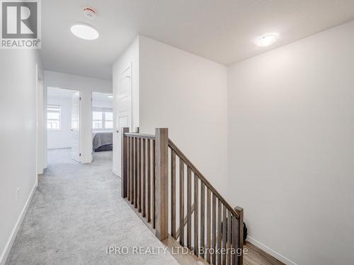 16 Roper Place, Kitchener, ON - Indoor Photo Showing Other Room