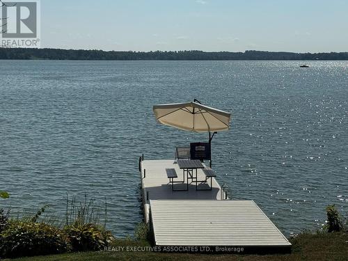 22 Lakeview Boulevard, Kawartha Lakes (Little Britain), ON - Outdoor With Body Of Water With View