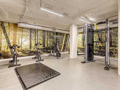 Salle d'exercice - 1216 Rue William, Montréal (Le Sud-Ouest), QC - Indoor Photo Showing Gym Room