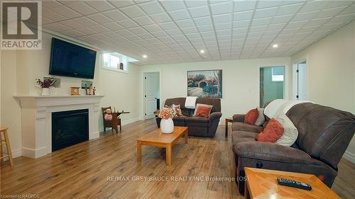 350297 Concession A, Meaford, ON - Indoor Photo Showing Living Room With Fireplace