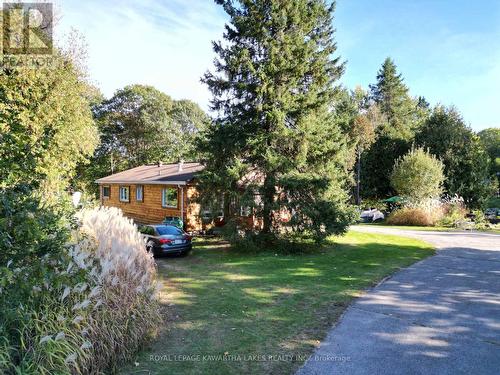 8056 Highway 35 N, Kawartha Lakes (Norland), ON - Outdoor