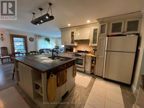 8056 Highway 35 N, Kawartha Lakes (Norland), ON - Indoor Photo Showing Kitchen With Double Sink