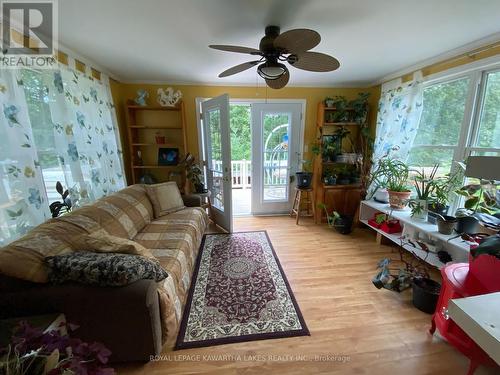 8056 Highway 35 N, Kawartha Lakes (Norland), ON - Indoor Photo Showing Living Room