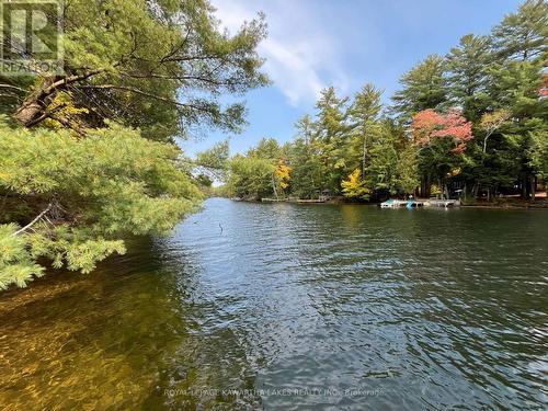 8056 Highway 35 N, Kawartha Lakes (Norland), ON - Outdoor With Body Of Water With View