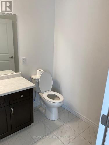 57 Whitton Drive, Brantford, ON - Indoor Photo Showing Bathroom