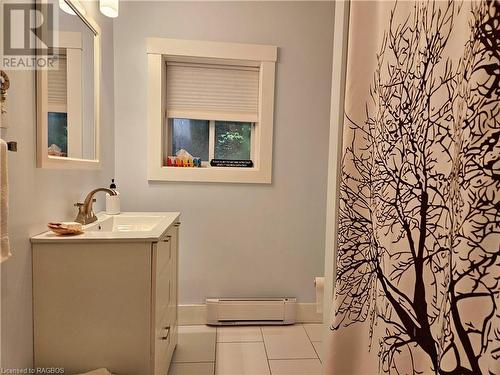 Totally renovated 3 piece bath - 28 Helen Street, Lions Head, ON - Indoor Photo Showing Bathroom