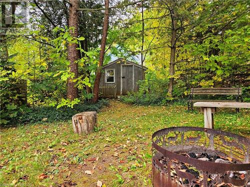 The way to the wee bunkie - 28 Helen Street, Lions Head, ON - Outdoor