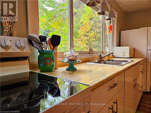 28 Helen Street, Northern Bruce Peninsula, ON - Indoor Photo Showing Kitchen With Double Sink