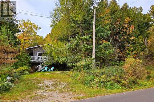 No neighbours on the north side - 28 Helen Street, Lions Head, ON - Outdoor