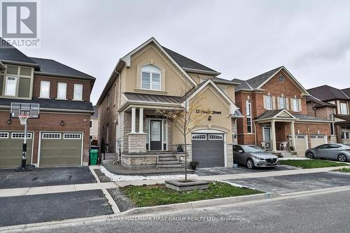 Lower - 12 Feeder Street, Brampton, ON 