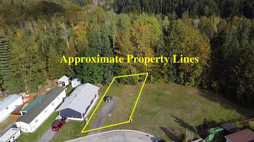 83 Johnson Way, Revelstoke, BC -  With View