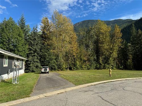 83 Johnson Way, Revelstoke, BC - Outdoor